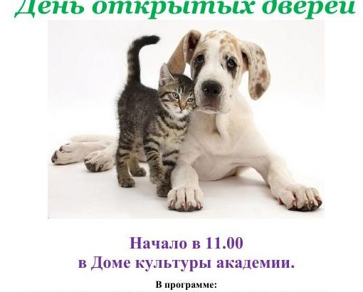 25 марта — День открытых дверей (АКАДЕМИЯ ВЕТЕРИНАРНОЙ МЕДИЦИНЫ)