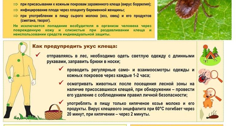 Осторожно, клещи!