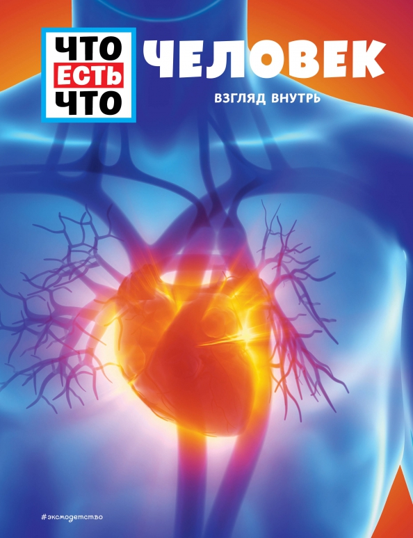 06.04-11.04.2026 Представление книги серии «Что есть что: Человек»